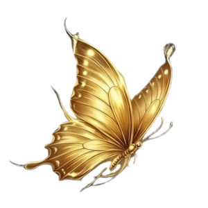 Fase 4 — Dominio (A Borboleta)